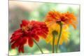 Photographic Print