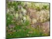 Premium Photographic Print
