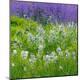 Premium Photographic Print
