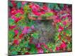 Premium Photographic Print