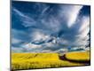 Photographic Print