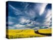 Stretched Canvas Print