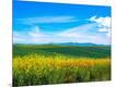 Photographic Print