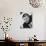 Sylvia Scarlett, Katharine Hepburn, 1935-null-Photo displayed on a wall