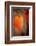 Symbol of Autumn-Philippe Sainte-Laudy-Framed Photographic Print