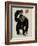 Symbolic Image of a Monkey that Throws a Basketball Ball-Dmitriip-Framed Art Print