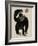 Symbolic Image of a Monkey that Throws a Basketball Ball-Dmitriip-Framed Art Print
