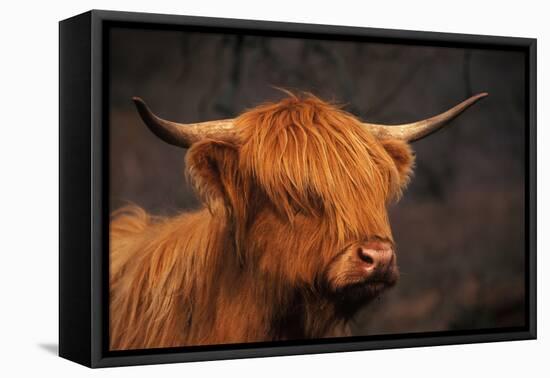 Symbolic of Scotland-Susann Parker-Framed Premier Image Canvas