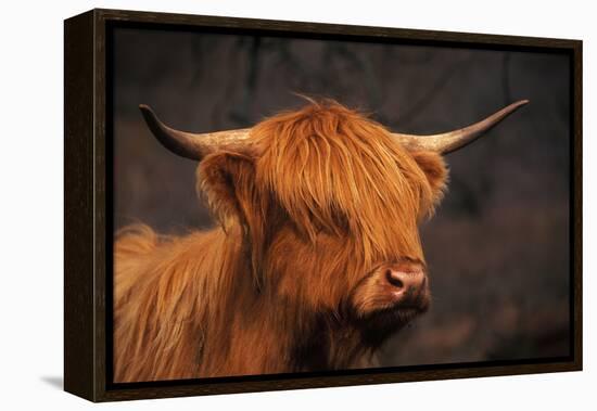 Symbolic of Scotland-Susann Parker-Framed Premier Image Canvas