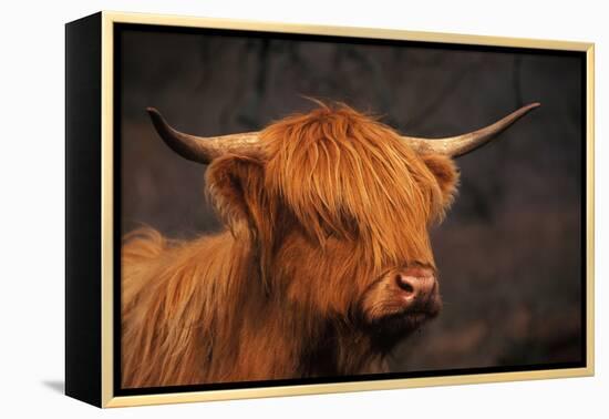 Symbolic of Scotland-Susann Parker-Framed Premier Image Canvas