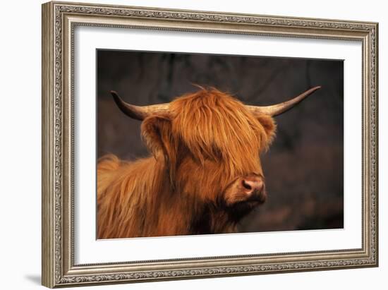 Symbolic of Scotland-Susann Parker-Framed Photographic Print