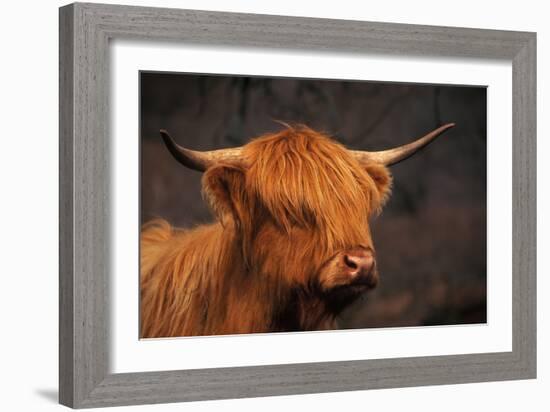 Symbolic of Scotland-Susann Parker-Framed Photographic Print