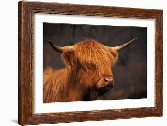 Symbolic of Scotland-Susann Parker-Framed Photographic Print