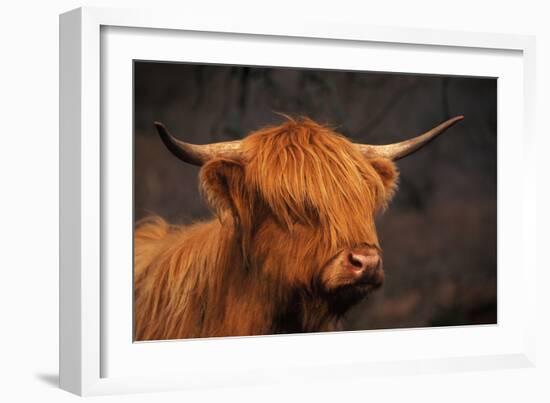 Symbolic of Scotland-Susann Parker-Framed Photographic Print