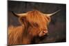 Symbolic of Scotland-Susann Parker-Mounted Photographic Print