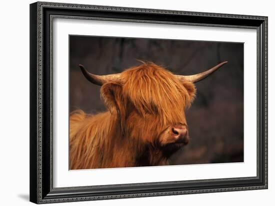 Symbolic of Scotland-Susann Parker-Framed Photographic Print
