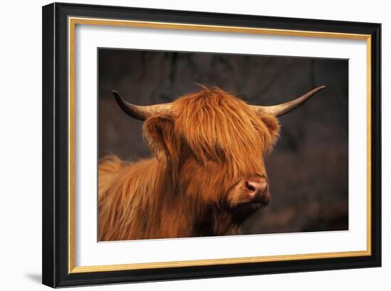 Symbolic of Scotland-Susann Parker-Framed Photographic Print