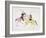 Symbolic Portrayal of the Conflict Between the Indians and the Whites-Kills Two-Framed Giclee Print