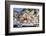 Symi Island, Greece-Ali Kabas-Framed Photographic Print