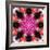 Symmetric Energetic Floral Montage of Flowers-Alaya Gadeh-Framed Photographic Print