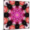 Symmetric Energetic Floral Montage of Flowers-Alaya Gadeh-Mounted Photographic Print