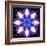 Symmetric Energetic Floral Montage of Flowers-Alaya Gadeh-Framed Photographic Print
