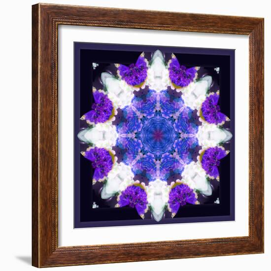 Symmetric Energetic Floral Montage of Flowers-Alaya Gadeh-Framed Photographic Print