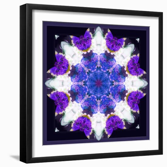 Symmetric Energetic Floral Montage of Flowers-Alaya Gadeh-Framed Photographic Print