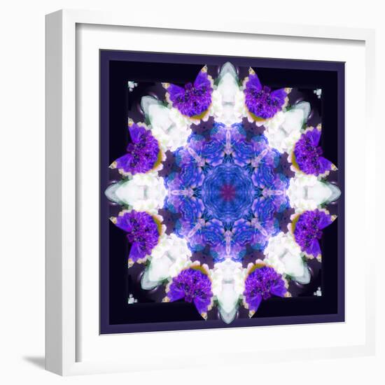 Symmetric Energetic Floral Montage of Flowers-Alaya Gadeh-Framed Photographic Print