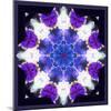 Symmetric Energetic Floral Montage of Flowers-Alaya Gadeh-Mounted Photographic Print