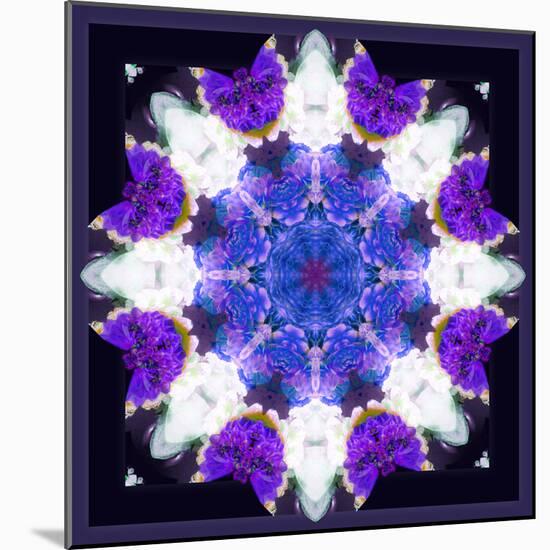 Symmetric Energetic Floral Montage of Flowers-Alaya Gadeh-Mounted Photographic Print