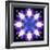 Symmetric Energetic Floral Montage of Flowers-Alaya Gadeh-Framed Photographic Print