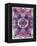 Symmetric Floral Montage from Flowers-Alaya Gadeh-Framed Premier Image Canvas