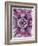 Symmetric Floral Montage from Flowers-Alaya Gadeh-Framed Photographic Print