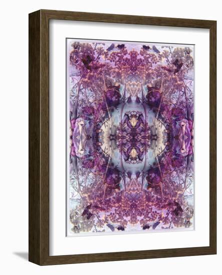 Symmetric Floral Montage from Flowers-Alaya Gadeh-Framed Photographic Print