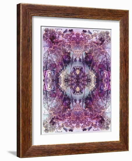 Symmetric Floral Montage from Flowers-Alaya Gadeh-Framed Photographic Print