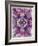 Symmetric Floral Montage from Flowers-Alaya Gadeh-Framed Photographic Print