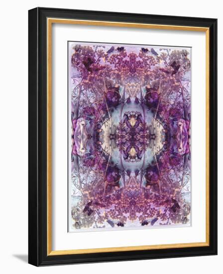 Symmetric Floral Montage from Flowers-Alaya Gadeh-Framed Photographic Print