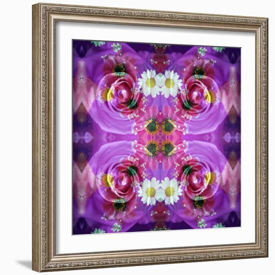 Symmetric Floral Montage of Rose Blossoms with Meadow Flowers-Alaya Gadeh-Framed Photographic Print