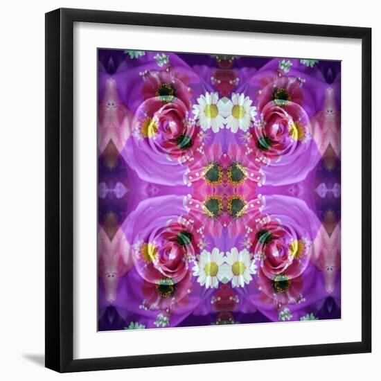 Symmetric Floral Montage of Rose Blossoms with Meadow Flowers-Alaya Gadeh-Framed Photographic Print