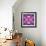 Symmetric Floral Montage of Rose Blossoms with Meadow Flowers-Alaya Gadeh-Framed Photographic Print displayed on a wall