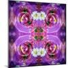 Symmetric Floral Montage of Rose Blossoms with Meadow Flowers-Alaya Gadeh-Mounted Photographic Print