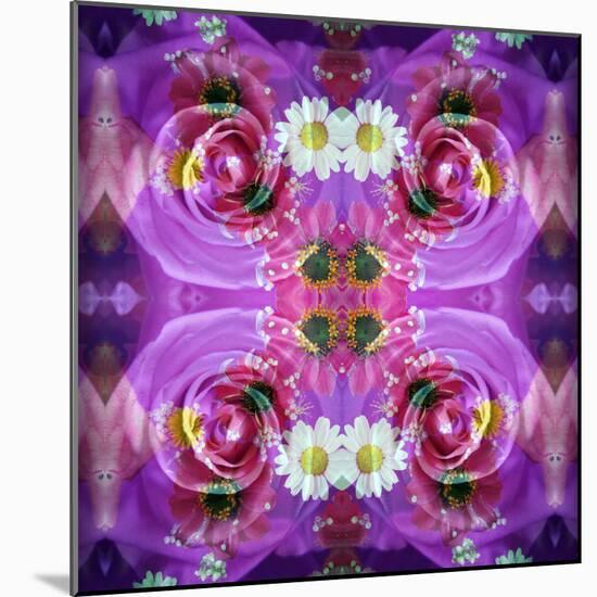 Symmetric Floral Montage of Rose Blossoms with Meadow Flowers-Alaya Gadeh-Mounted Photographic Print