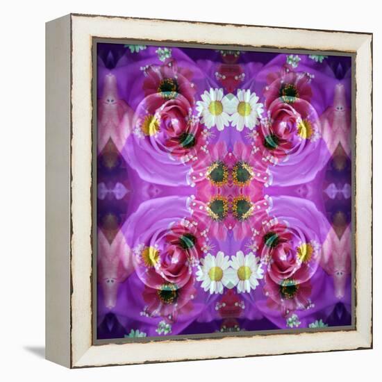 Symmetric Floral Montage of Rose Blossoms with Meadow Flowers-Alaya Gadeh-Framed Premier Image Canvas