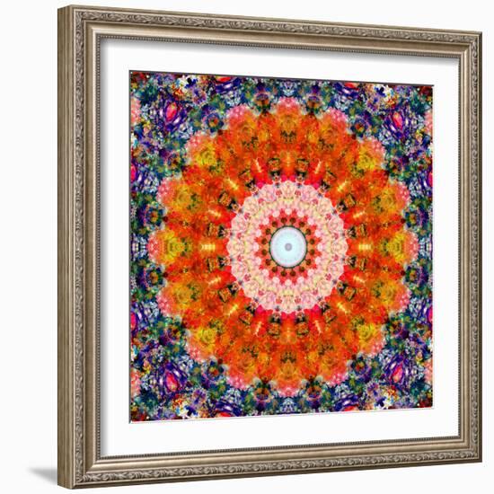 Symmetric Floral Montage with Red Blooming Rose Blossom, Cherry Blossoms and Spring Trees-Alaya Gadeh-Framed Photographic Print