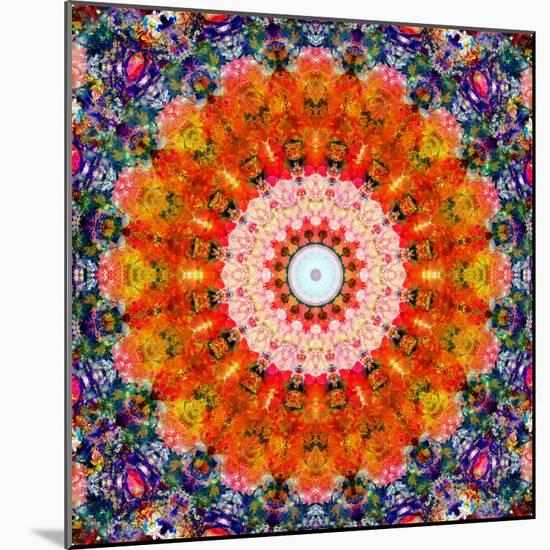 Symmetric Floral Montage with Red Blooming Rose Blossom, Cherry Blossoms and Spring Trees-Alaya Gadeh-Mounted Photographic Print