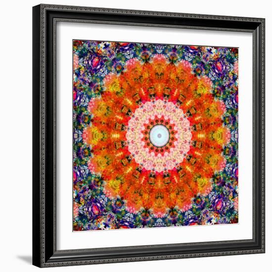 Symmetric Floral Montage with Red Blooming Rose Blossom, Cherry Blossoms and Spring Trees-Alaya Gadeh-Framed Photographic Print