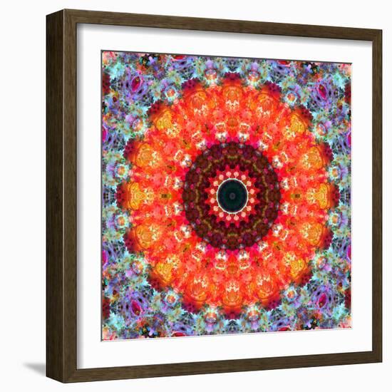 Symmetric Floral Montage with Red Blooming Rose Blossom, Cherry Blossoms and Spring Trees-Alaya Gadeh-Framed Photographic Print