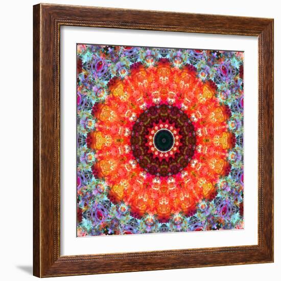 Symmetric Floral Montage with Red Blooming Rose Blossom, Cherry Blossoms and Spring Trees-Alaya Gadeh-Framed Photographic Print