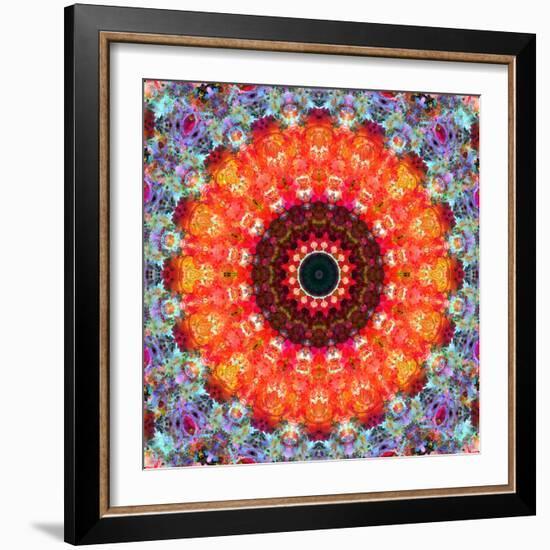 Symmetric Floral Montage with Red Blooming Rose Blossom, Cherry Blossoms and Spring Trees-Alaya Gadeh-Framed Photographic Print